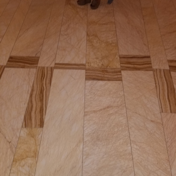 Meet your Posher, Josue - Picture 1 of 1